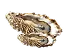Oysters