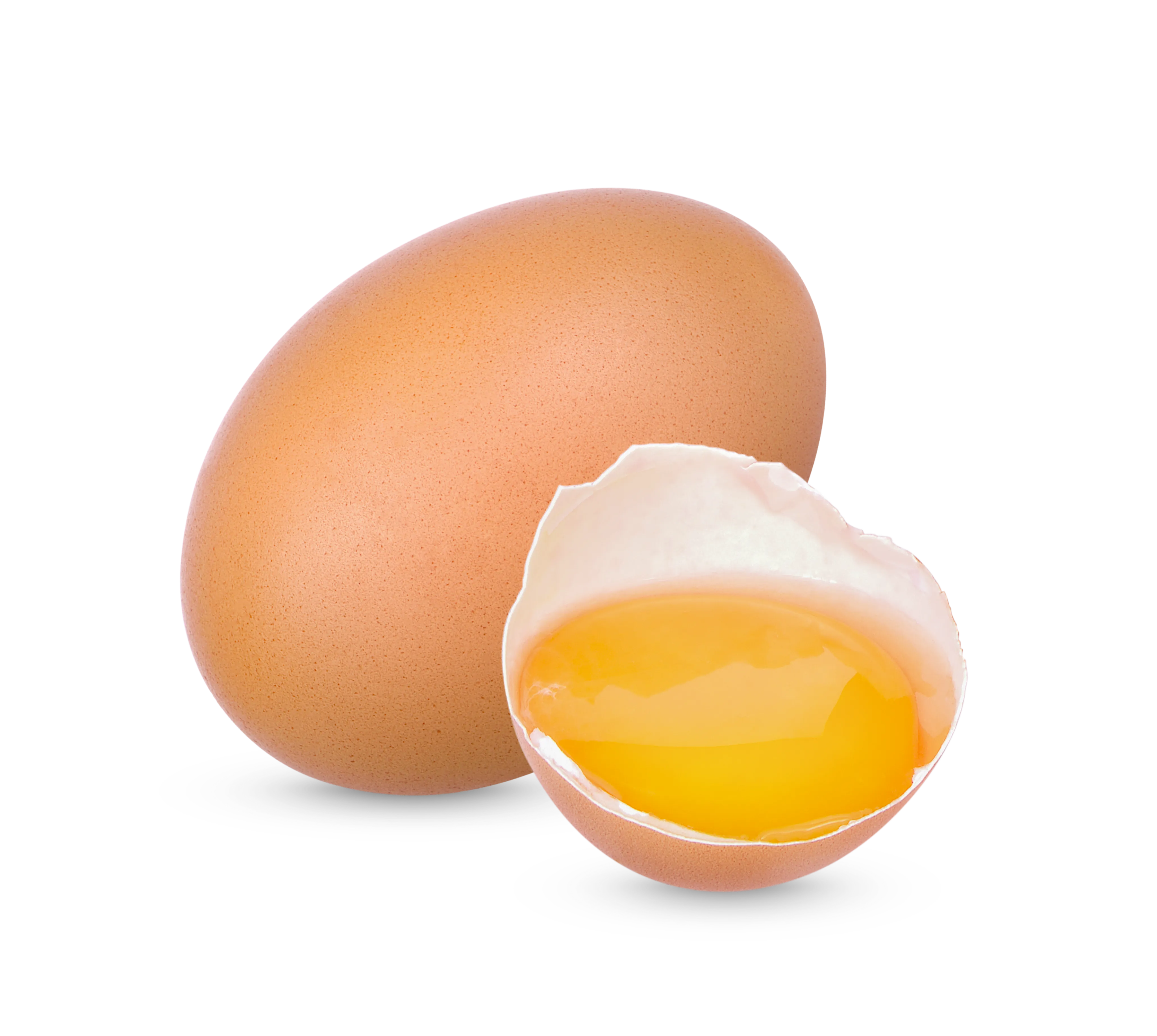 Egg